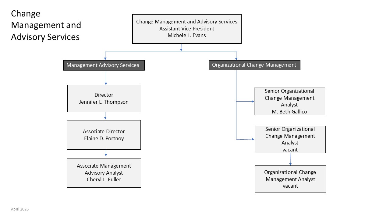 Assistant VP Michele Evans oversees two groups. The first, Management Advisory Services, is led by Director Jennifer Thompson and Asst. Dir. Elaine Portnoy who supervises an Associate Analyst Cheryl Fuller. Michele also oversees the Organizational Change Management (OCM) group including Sr OCM Analysts Beth Gallico, with vacant Sr. OCM Analyst and Analyst.