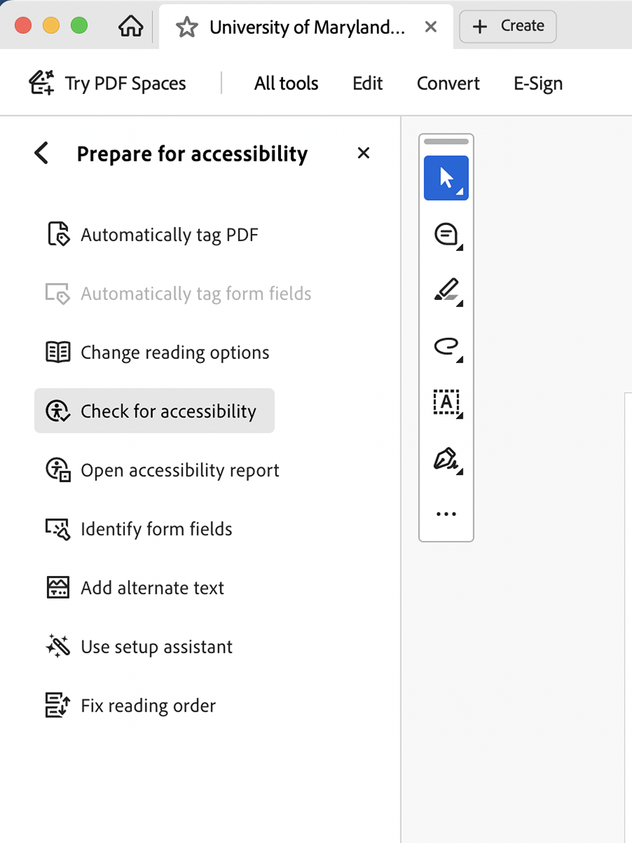 A screenshot of the Accessibility panel in Adobe Acrobat
