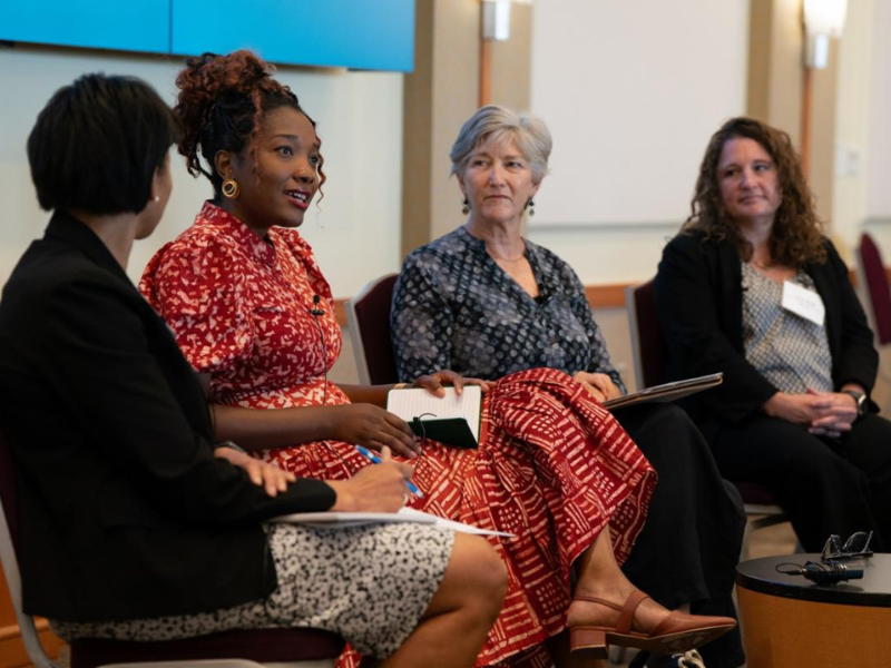 Four panelists discuss the issue