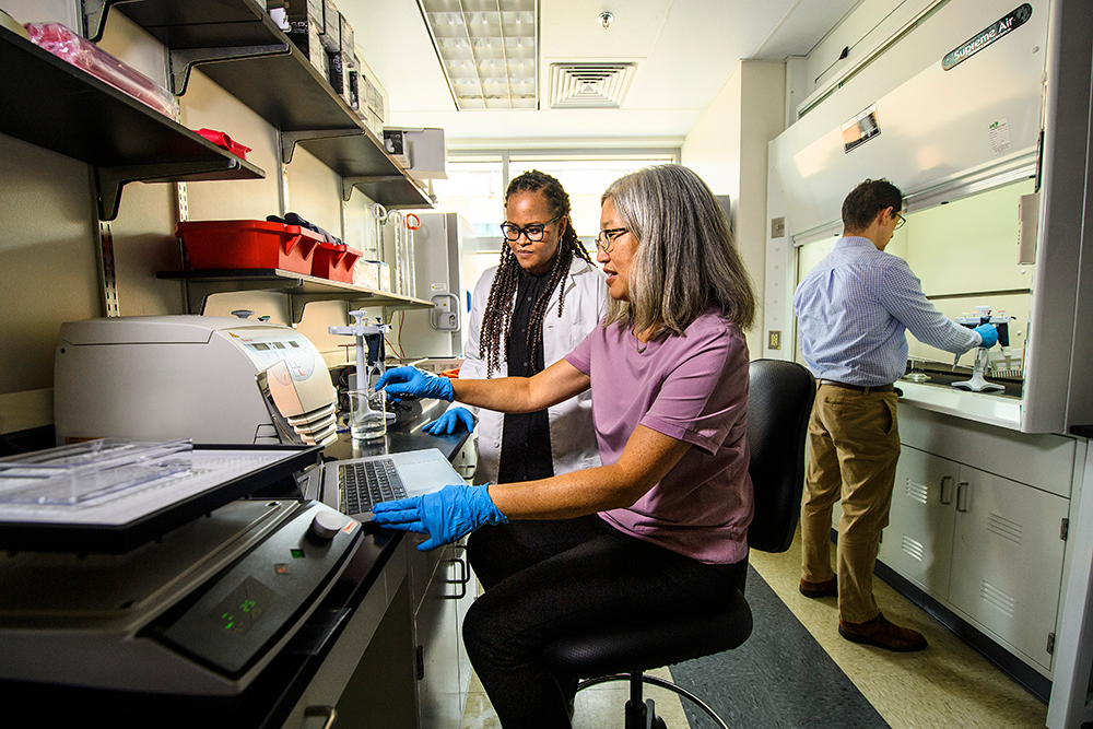 Two People Working in a Lab