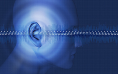 The ability to hear depends on a process that turns sound waves into brain signals.