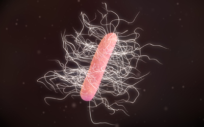 Clostridium difficile 