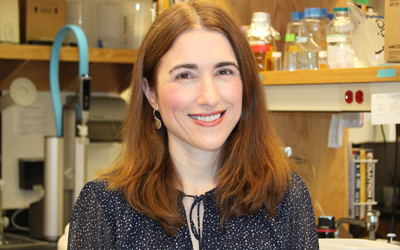 Sarah Michel, PhD, associate professor at the School of Pharmacy