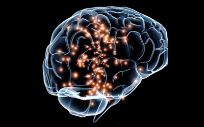 brain activity image