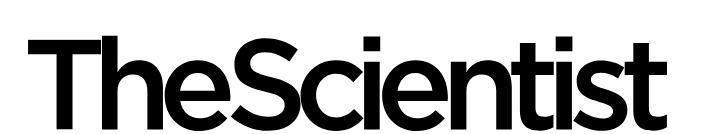 The Scientist Logo