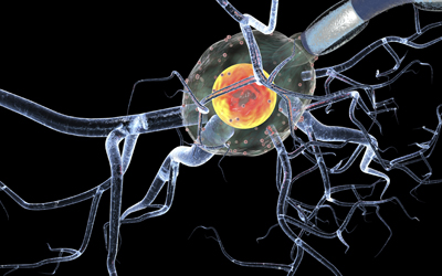 Parkinsons Disease Brain Cell