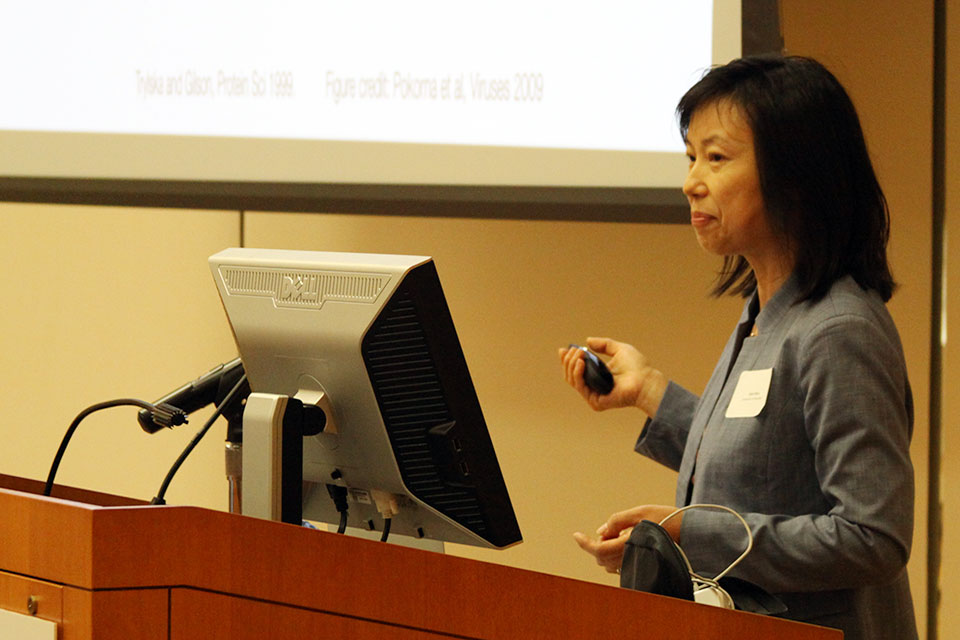 Jana Shen, PhD, associate professor of Pharmaceutical Sciences and co-director of the Computer-Aided Drug Design (CADD) Center, speaks at the 2018 CADD Symposium.