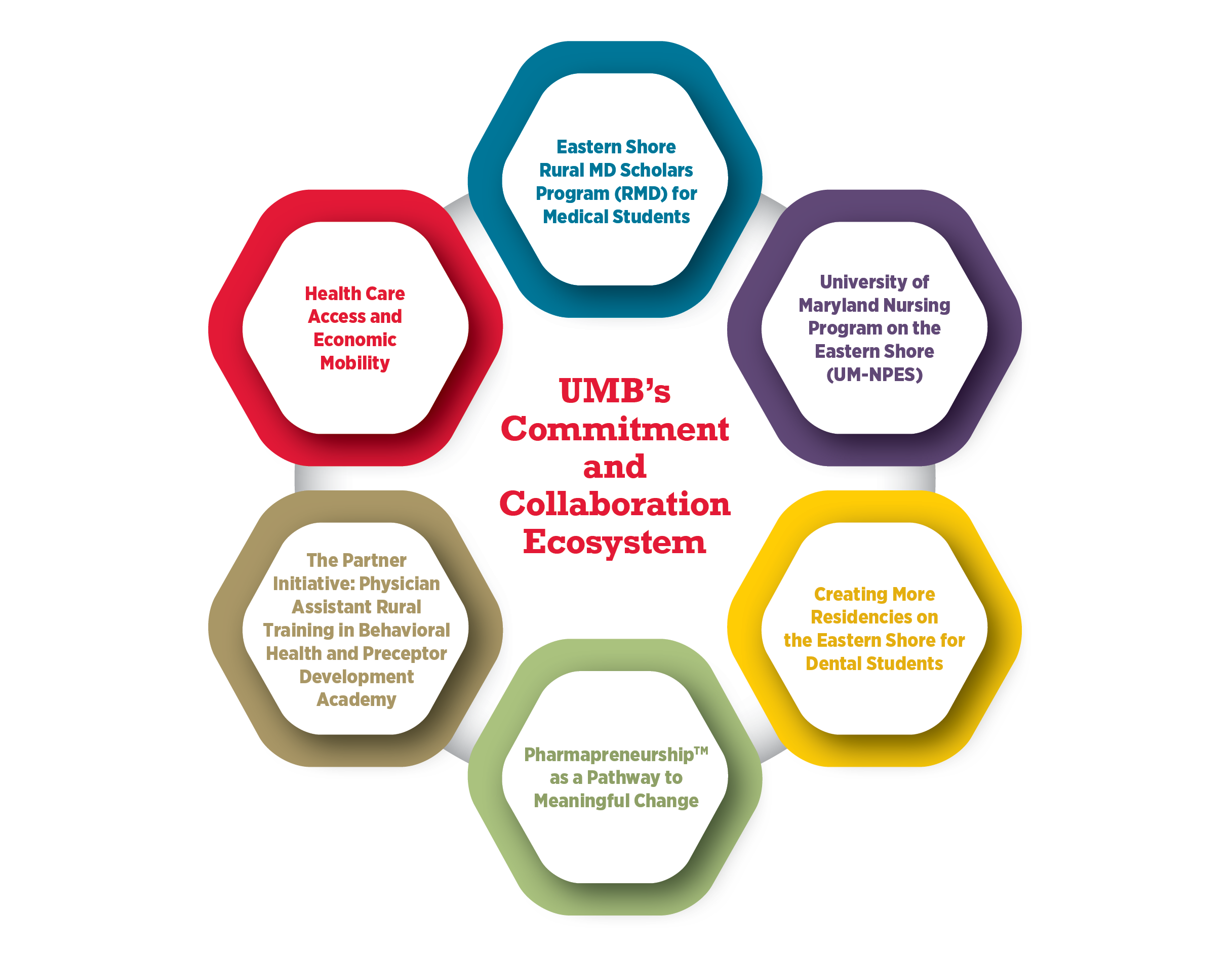 6 circles with the different commitments and collaboration with in the Rural Heath system including: Eastern Shore Rural MD Scholars Program (RMD) for Medical Students, University of Maryland Nursing Program on the Eastern Shore (UM-NPES), Creating More Residencies on the Eastern Shore for Dental Students, Pharmapreneurships as a Pathway to Meaningful Change, and many more