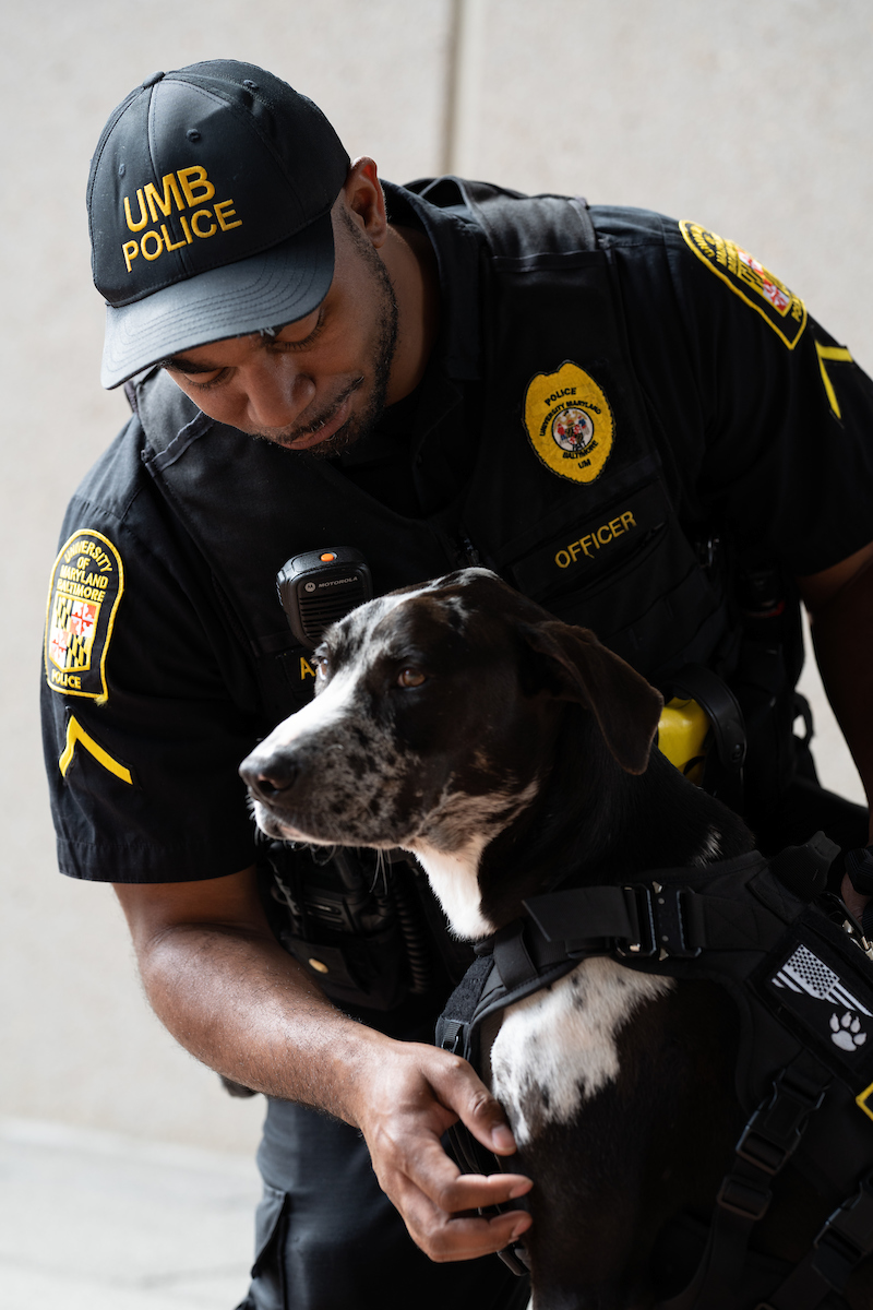 Comfort K9 Poe and PFC Summers