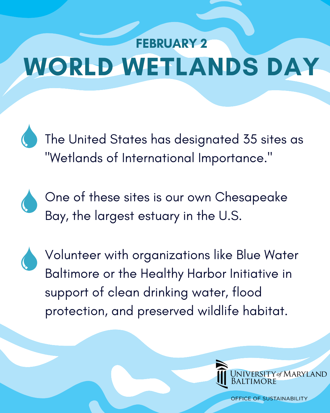 Graphic with tips for celebrating World Wetlands Day. The United States has designated 35 sites as