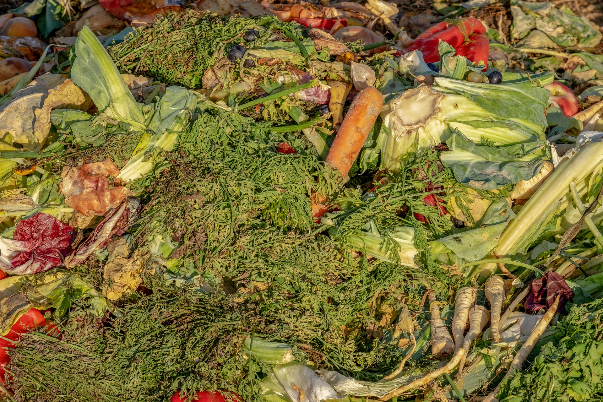 vegetable scraps being composted